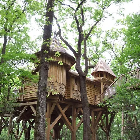 Chateaux Dans Les Arbres * Clotte