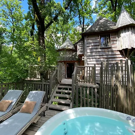 Chateaux Dans Les Arbres