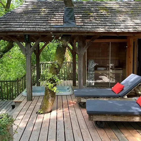 Chateaux Dans Les Arbres Orman Evi *
