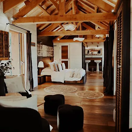 Chateaux Dans Les Arbres *