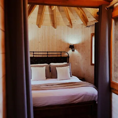 Chateaux Dans Les Arbres