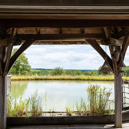Orman Evi Chateaux Dans Les Arbres