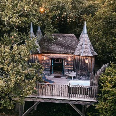 Chateaux Dans Les Arbres Clotte