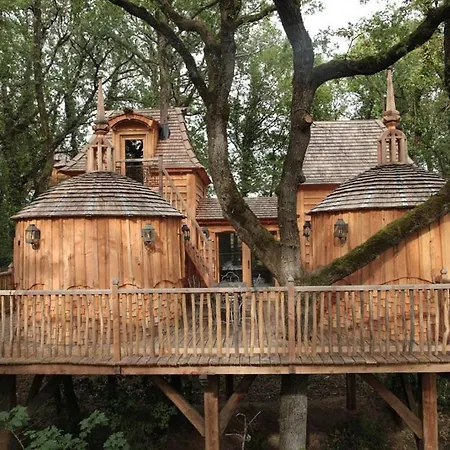 Chateaux Dans Les Arbres