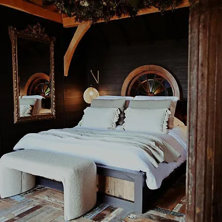 Orman Evi Chateaux Dans Les Arbres *
