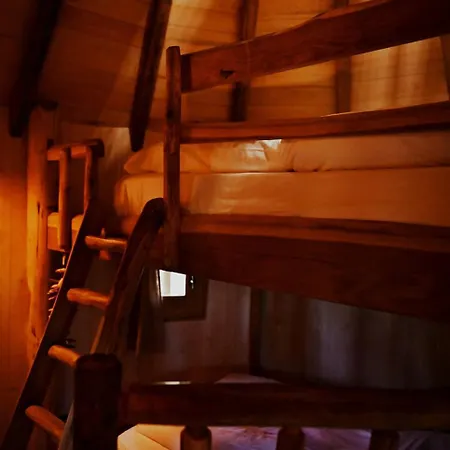 Orman Evi Chateaux Dans Les Arbres Clotte