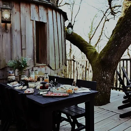 Chateaux Dans Les Arbres *