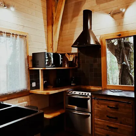 Chateaux Dans Les Arbres Clotte