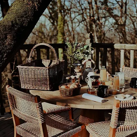 Orman Evi Chateaux Dans Les Arbres Clotte