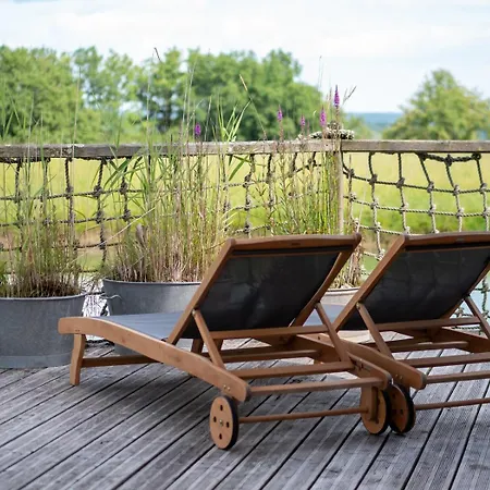 Chateaux Dans Les Arbres *