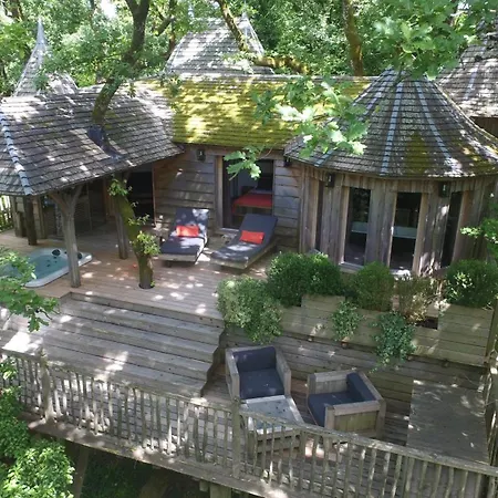 Chateaux Dans Les Arbres *