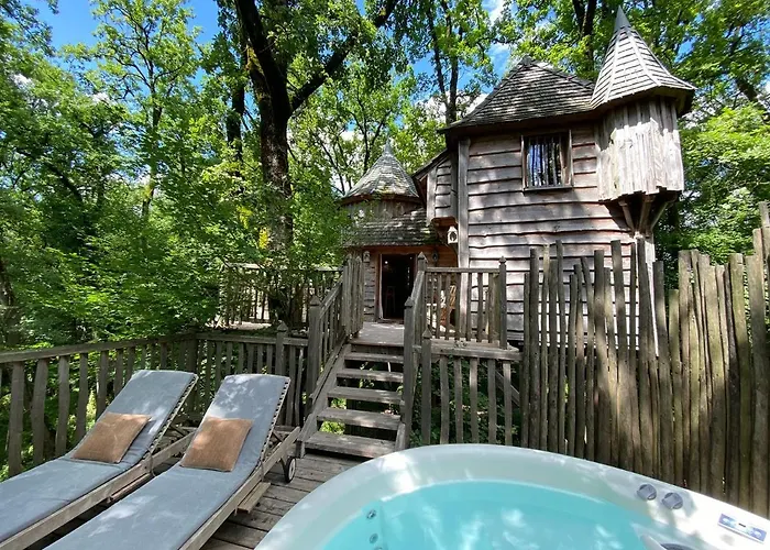 Chateaux Dans Les Arbres