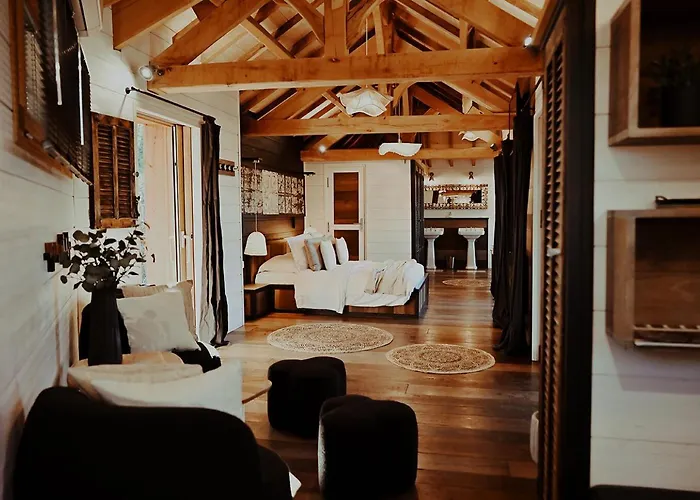 Chateaux Dans Les Arbres *