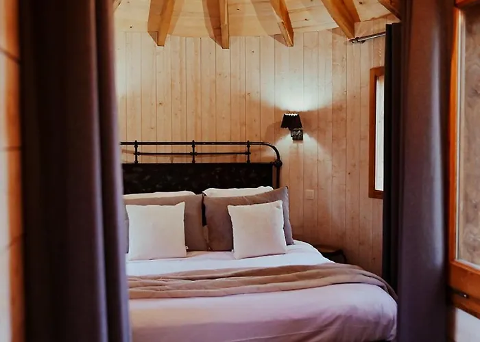 Chateaux Dans Les Arbres