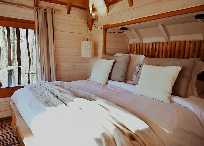 Chateaux Dans Les Arbres * Clotte