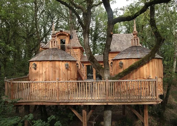 Chateaux Dans Les Arbres