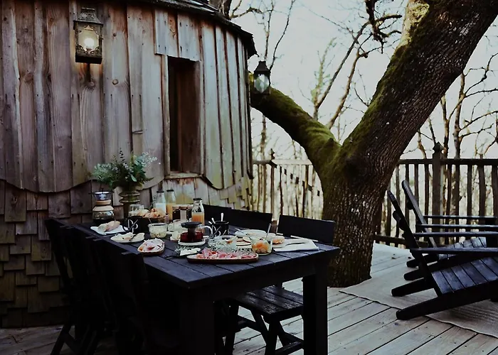 Chateaux Dans Les Arbres *