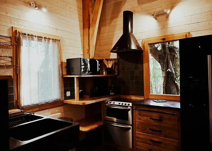 Chateaux Dans Les Arbres Clotte