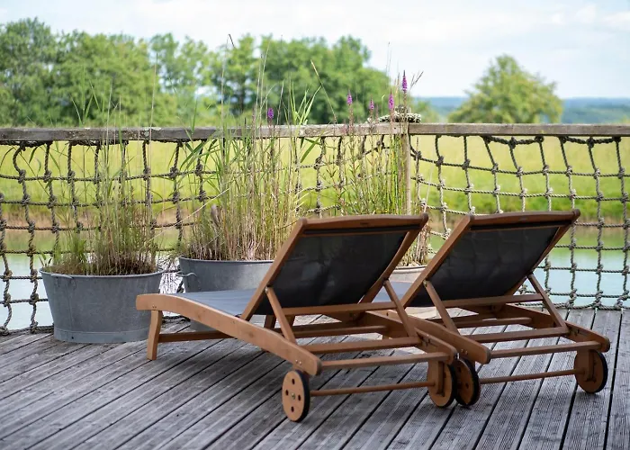 Chateaux Dans Les Arbres *