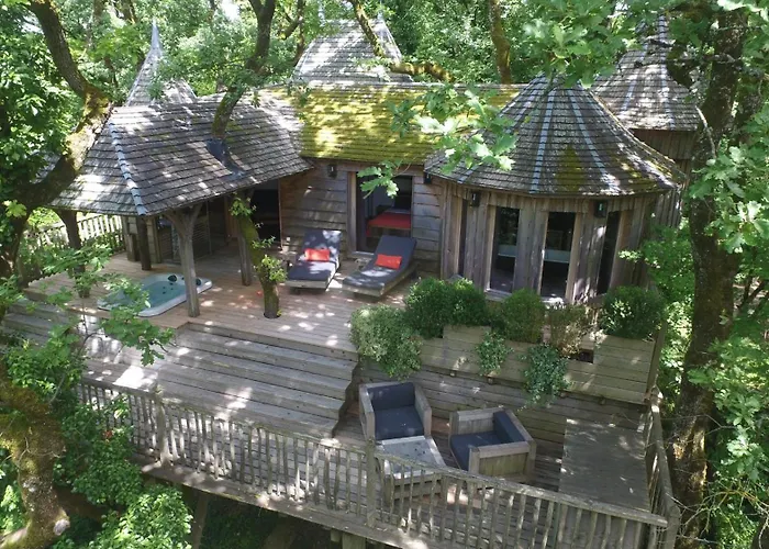 Chateaux Dans Les Arbres *